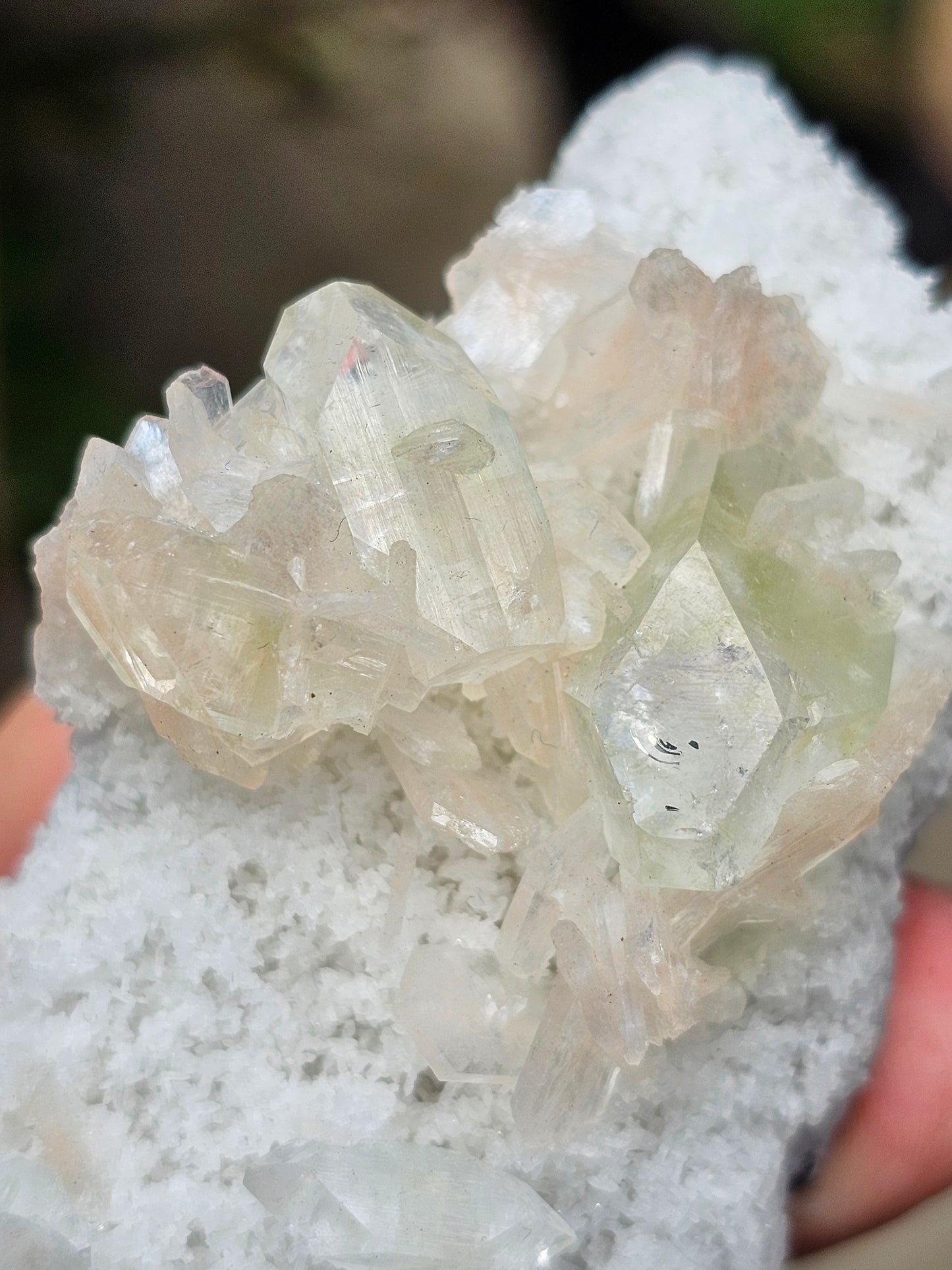 Apophyllite, apophyllite verte, stilbite sur Calcédoine blanche C