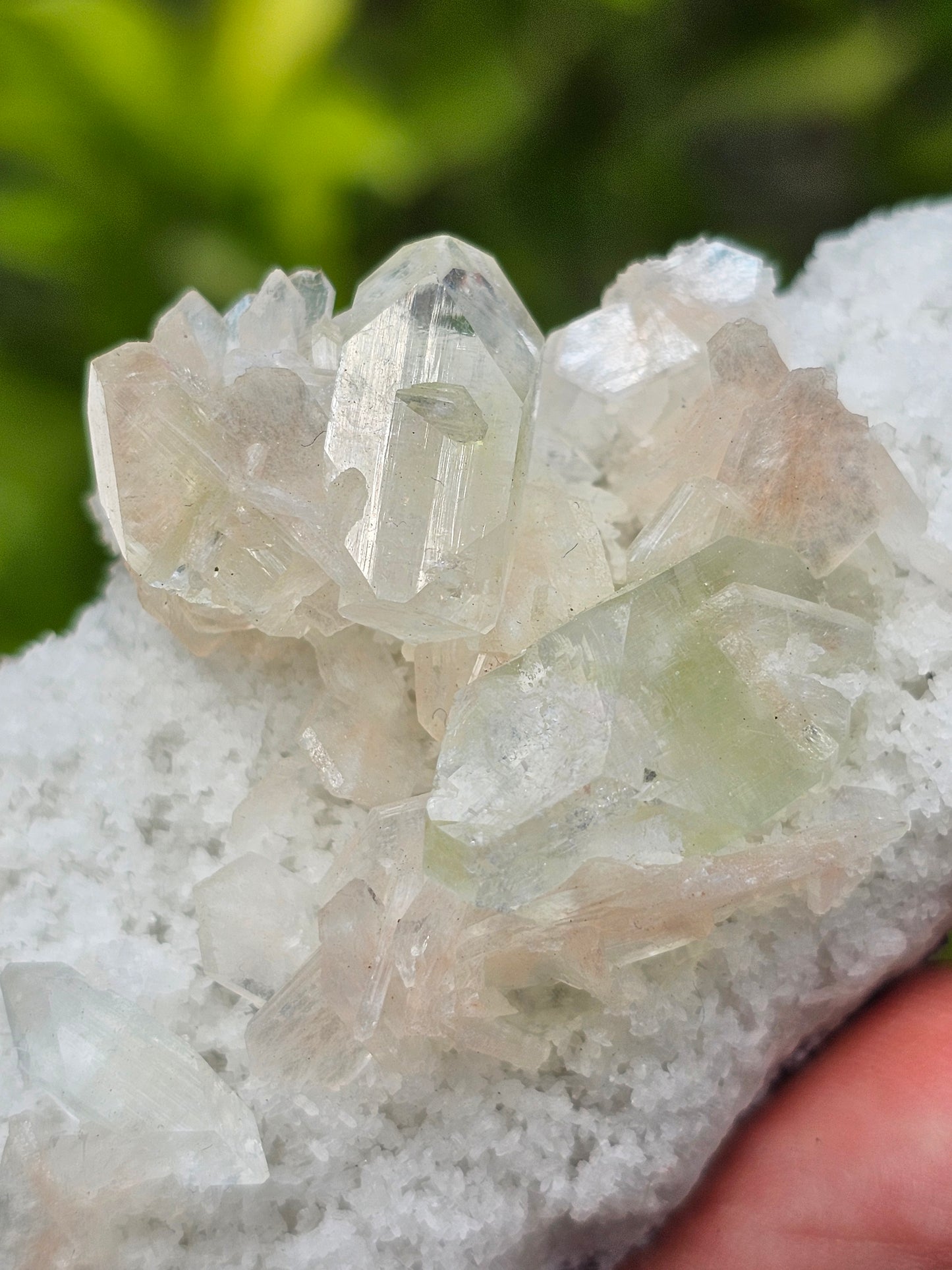 Apophyllite, apophyllite verte, stilbite sur Calcédoine blanche C