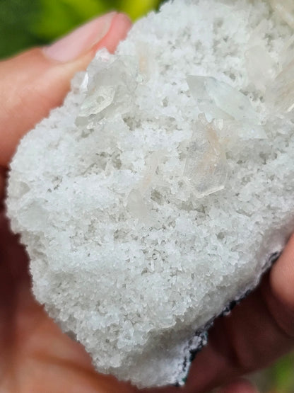 Apophyllite, apophyllite verte, stilbite sur Calcédoine blanche C