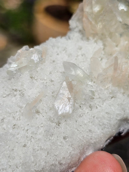 Apophyllite, apophyllite verte, stilbite sur Calcédoine blanche C