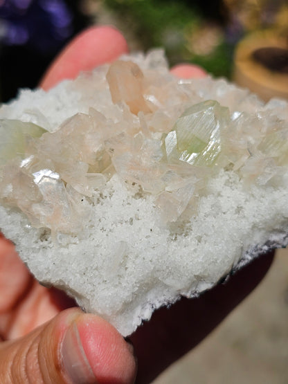 Apophyllite, apophyllite verte, stilbite sur Calcédoine blanche E