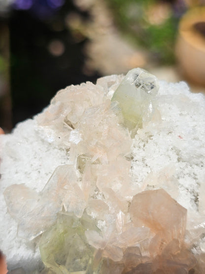 Apophyllite, apophyllite verte, stilbite sur Calcédoine blanche E