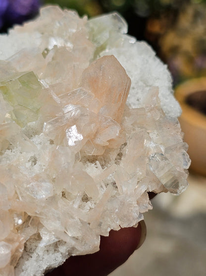 Apophyllite, apophyllite verte, stilbite sur Calcédoine blanche E