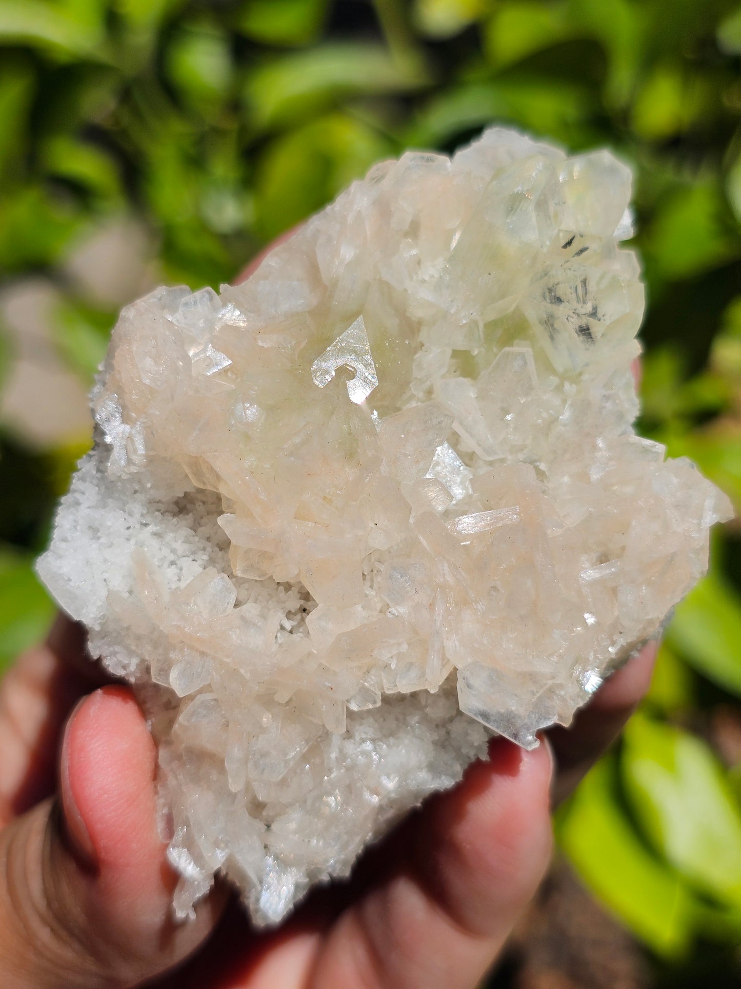 Apophyllite, apophyllite verte, stilbite sur Calcédoine blanche H