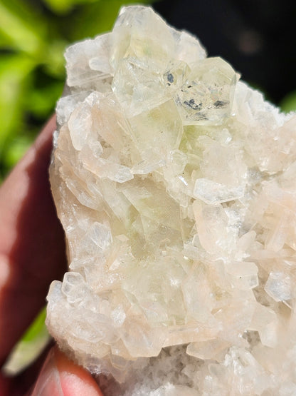 Apophyllite, apophyllite verte, stilbite sur Calcédoine blanche H