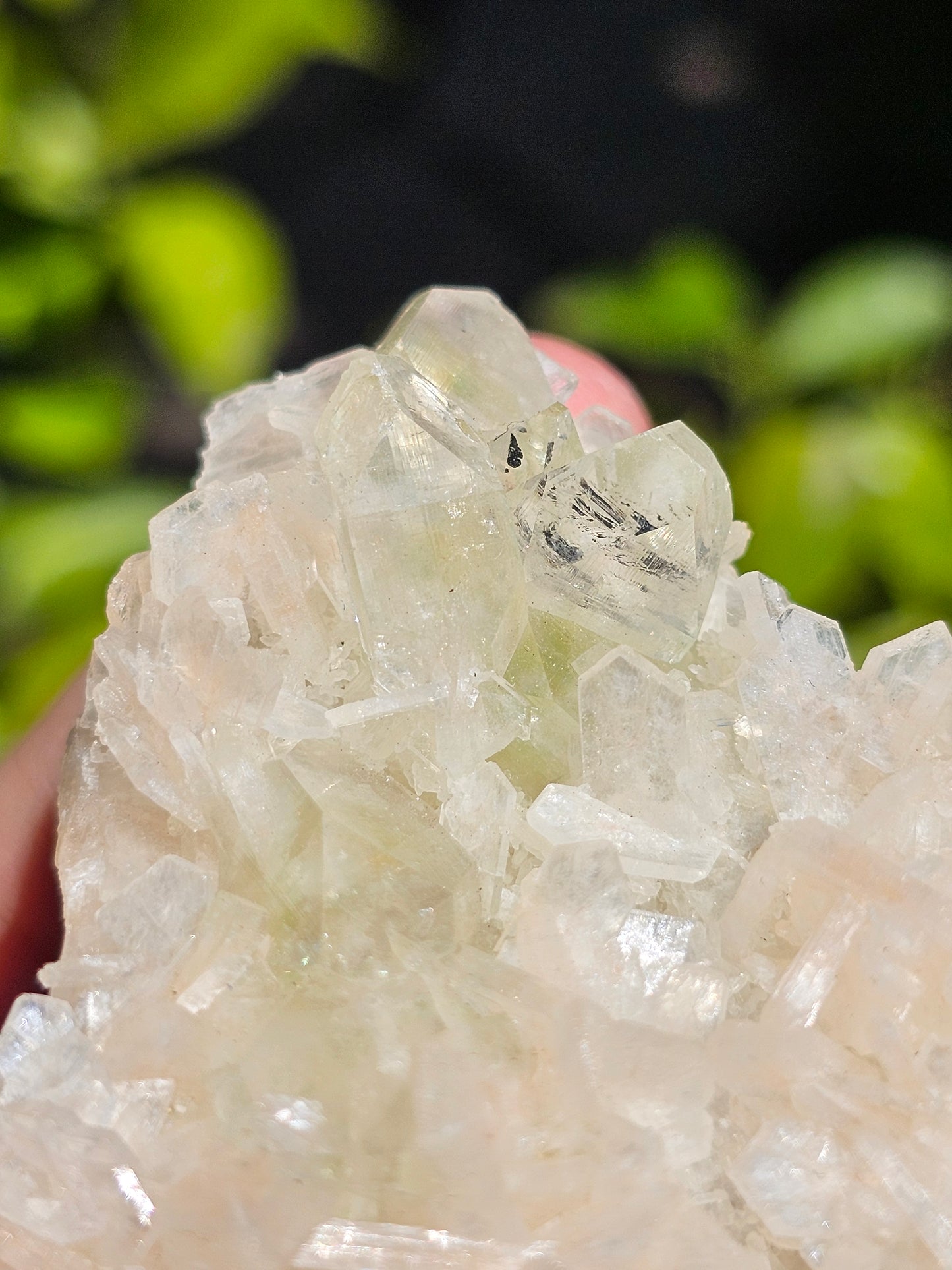 Apophyllite, apophyllite verte, stilbite sur Calcédoine blanche H