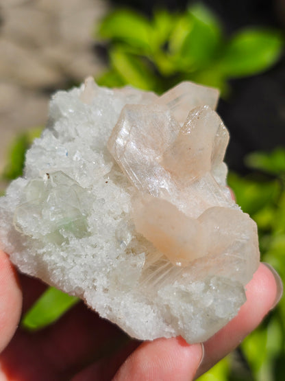 Apophyllite, apophyllite verte, stilbite sur Calcédoine blanche I