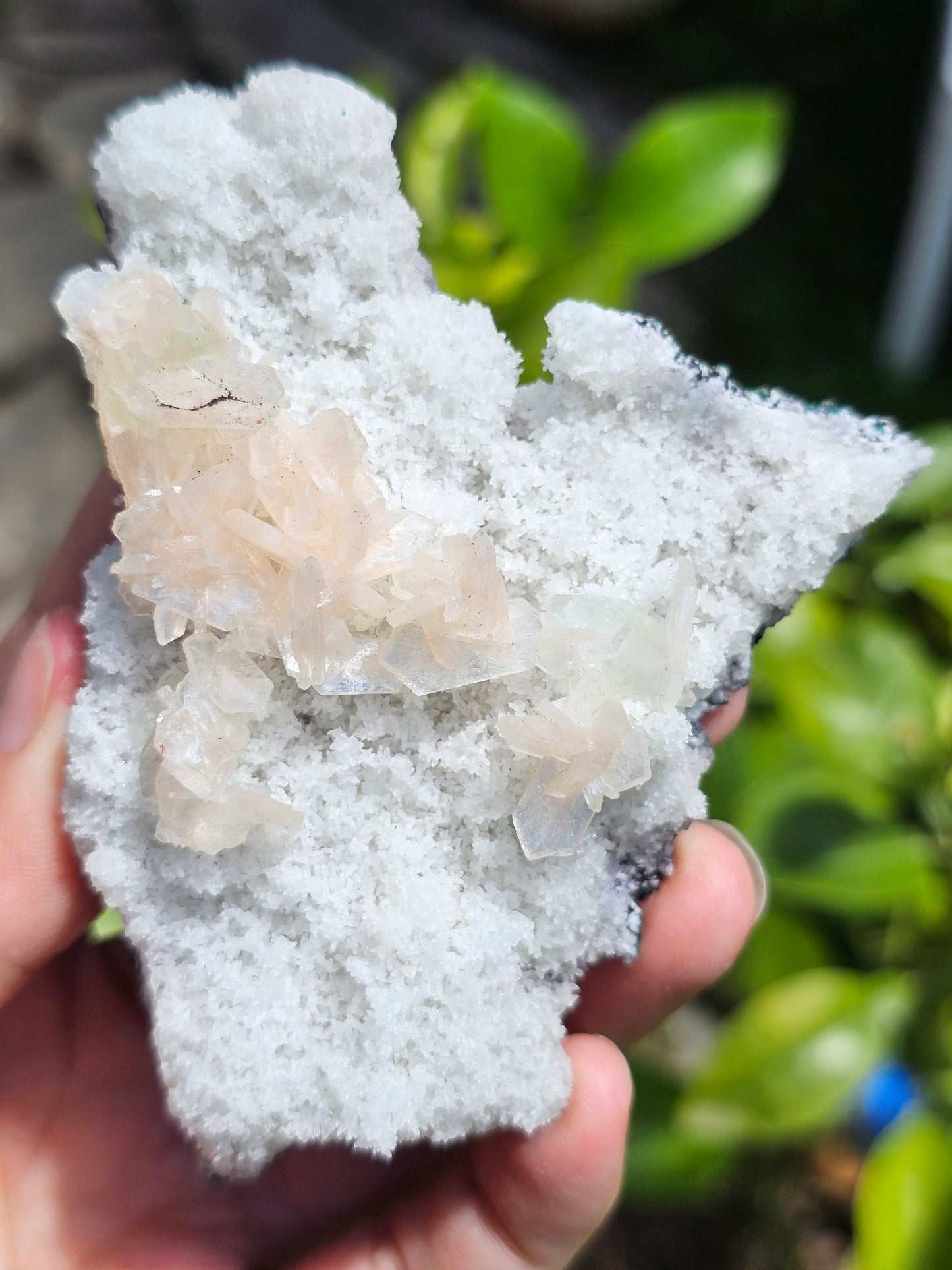 Apophyllite, apophyllite verte, stilbite sur Calcédoine blanche K