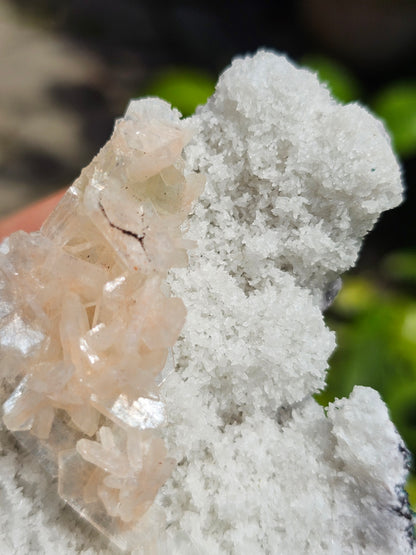 Apophyllite, apophyllite verte, stilbite sur Calcédoine blanche K