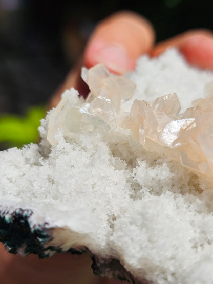 Apophyllite, apophyllite verte, stilbite sur Calcédoine blanche K