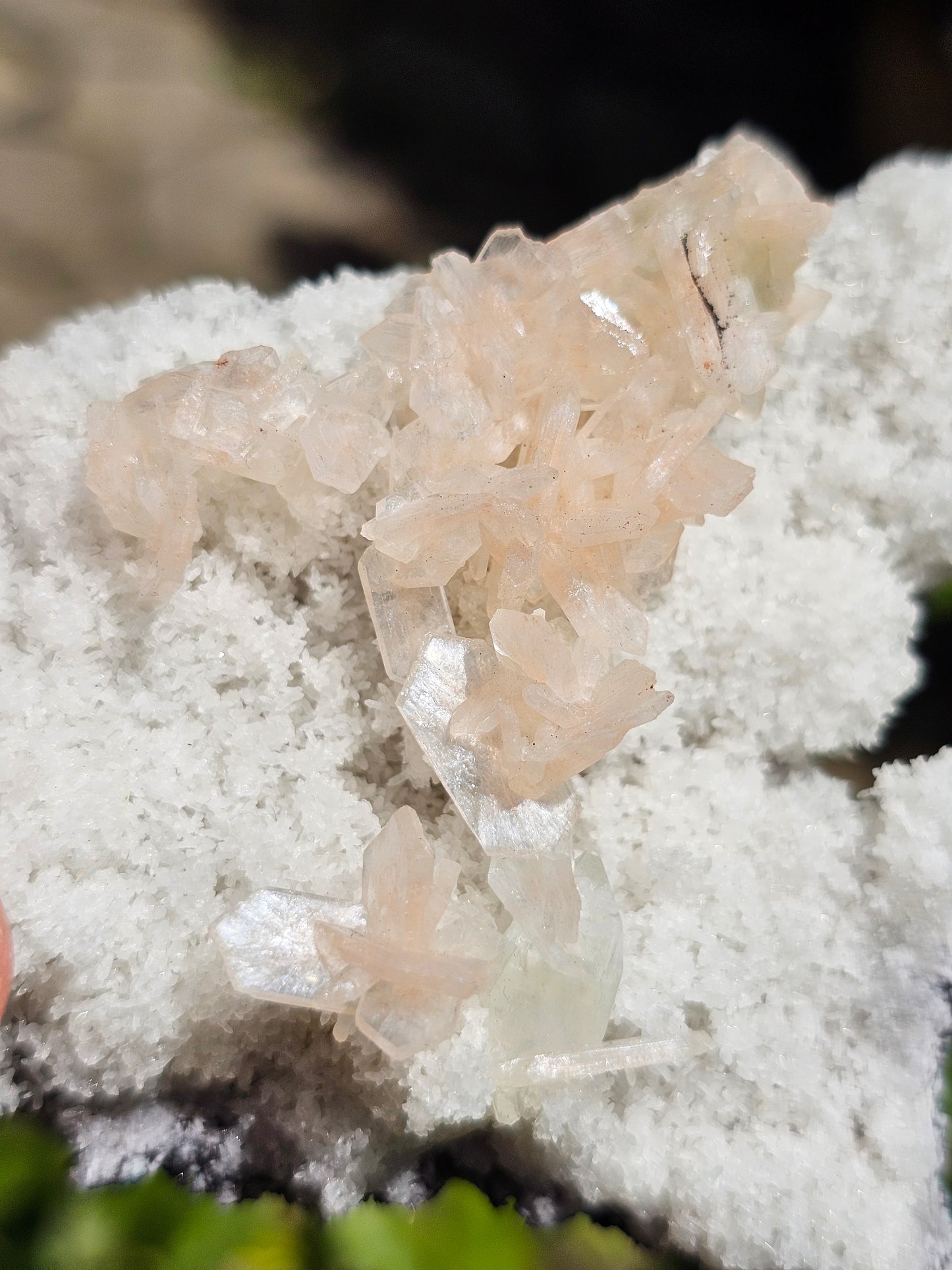 Apophyllite, apophyllite verte, stilbite sur Calcédoine blanche K