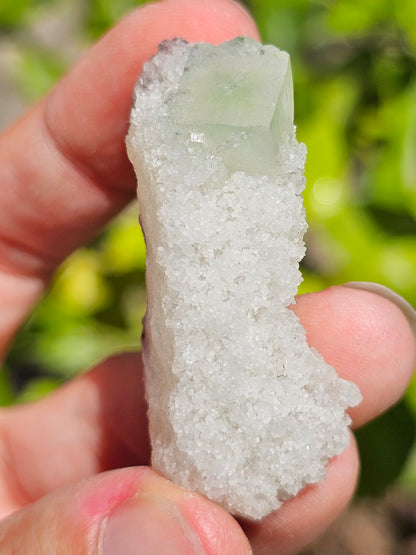 Apophyllite verte sur Calcédoine blanche M