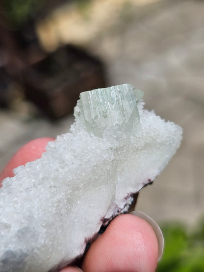 Apophyllite verte sur Calcédoine blanche M