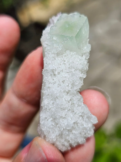 Apophyllite verte sur Calcédoine blanche M