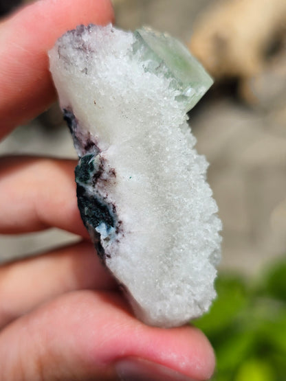 Apophyllite verte sur Calcédoine blanche M