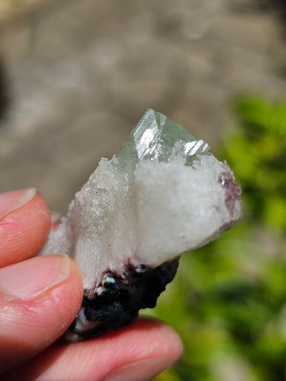 Apophyllite verte sur Calcédoine blanche M