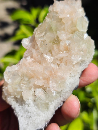 Apophyllite, Apophyllite verte, Stilbite sur Calcédoine blanche O