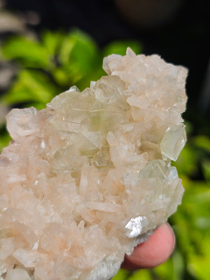 Apophyllite, Apophyllite verte, Stilbite sur Calcédoine blanche O