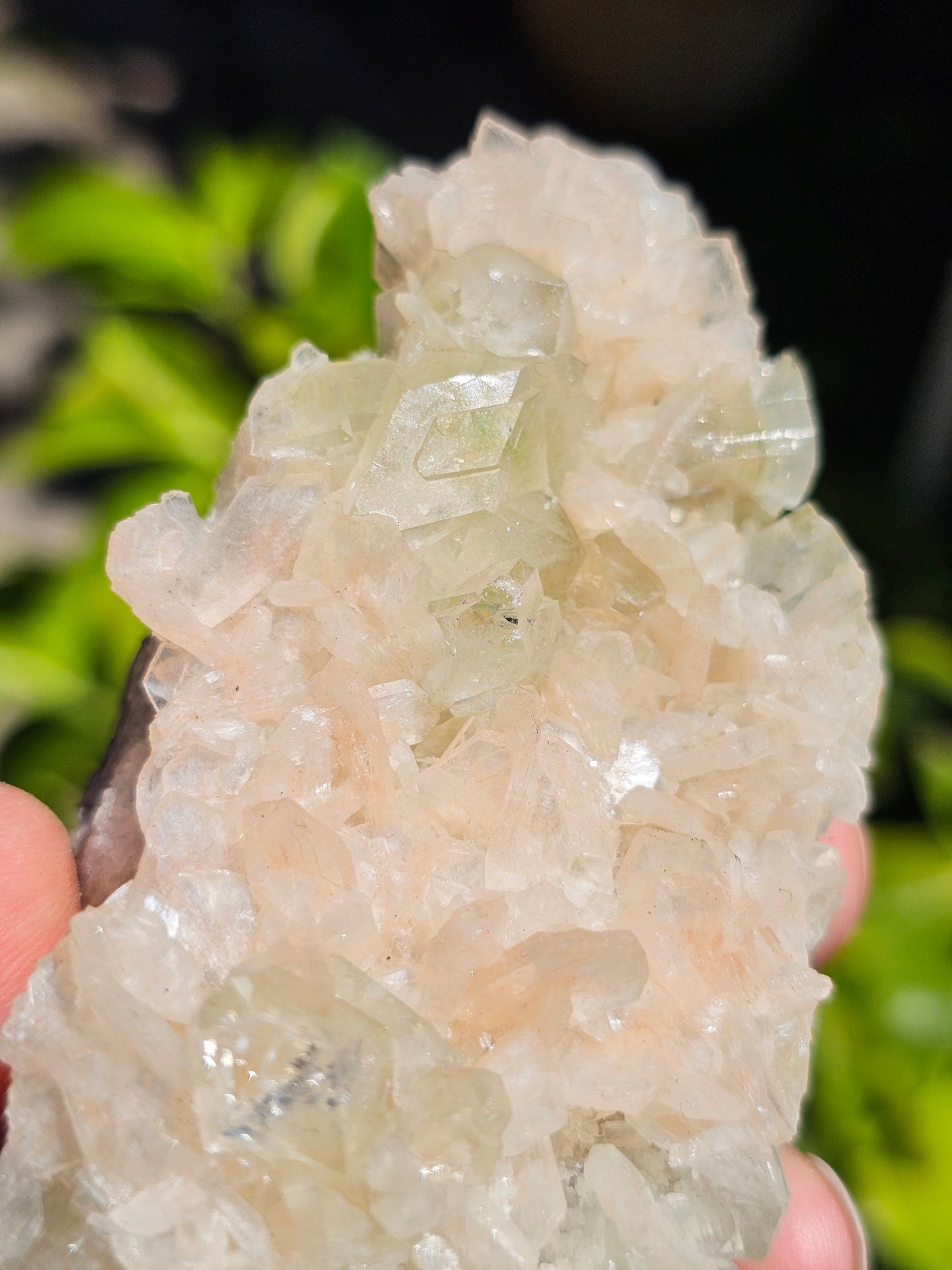 Apophyllite, Apophyllite verte, Stilbite sur Calcédoine blanche O