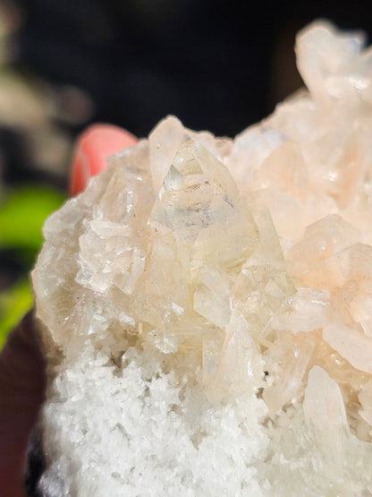 Apophyllite, Apophyllite verte, Stilbite sur Calcédoine blanche O