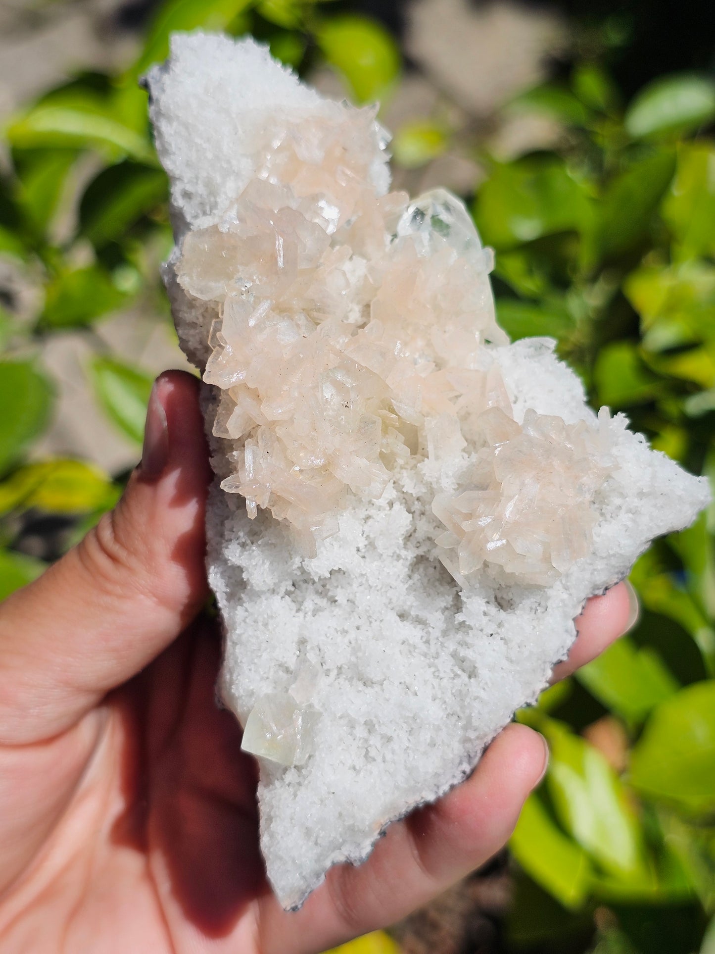 Apophyllite, Apophyllite verte, Stilbite sur Calcédoine blanche R