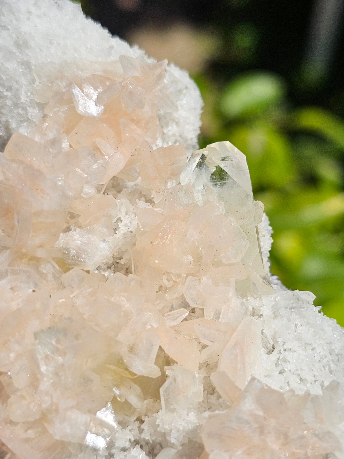 Apophyllite, Apophyllite verte, Stilbite sur Calcédoine blanche R