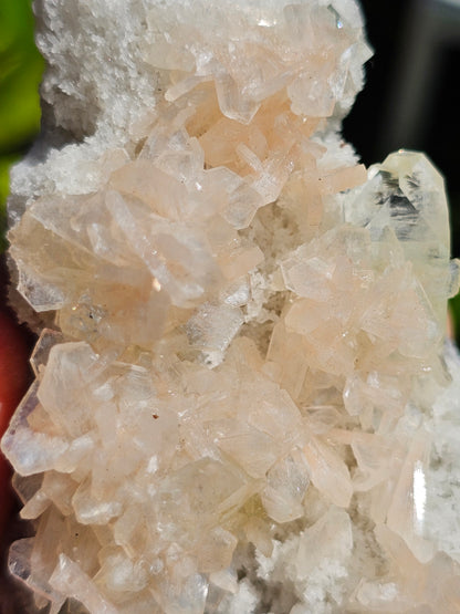 Apophyllite, Apophyllite verte, Stilbite sur Calcédoine blanche R