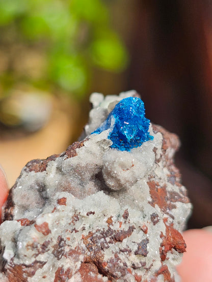 Cavansite sur Heulandite C1