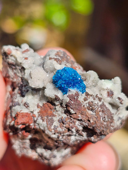 Cavansite sur Heulandite C1