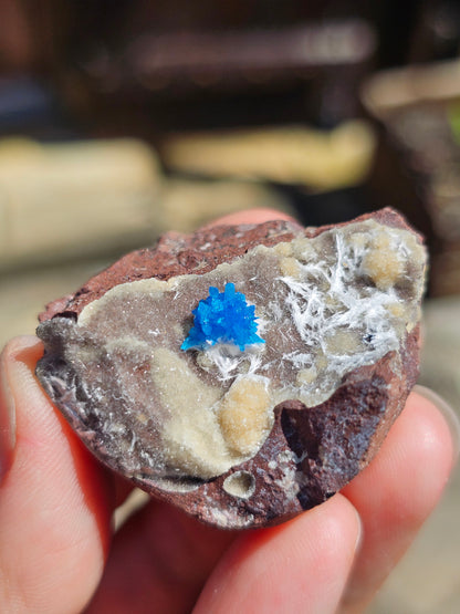 Cavansite sur Heulandite et Mordénite C5