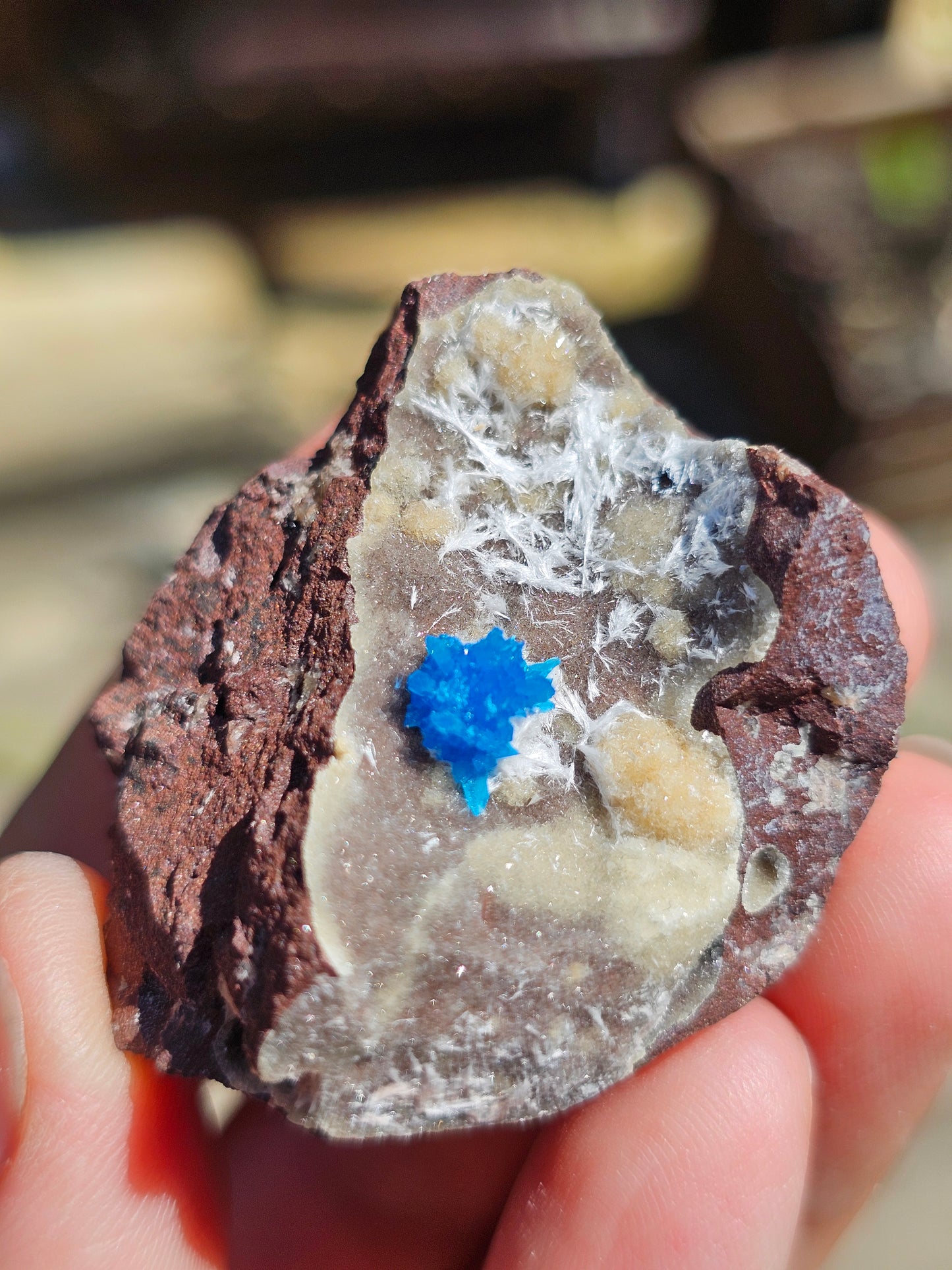 Cavansite sur Heulandite et Mordénite C5