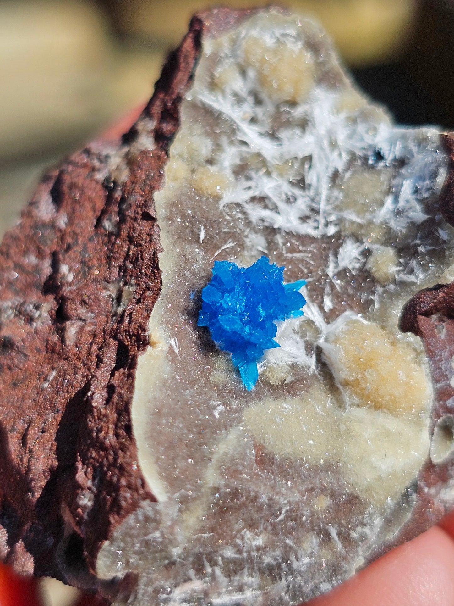 Cavansite sur Heulandite et Mordénite C5