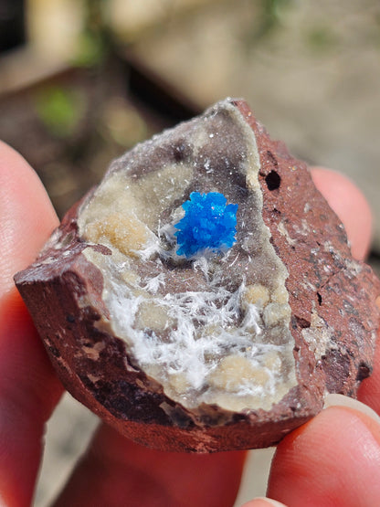 Cavansite sur Heulandite et Mordénite C5