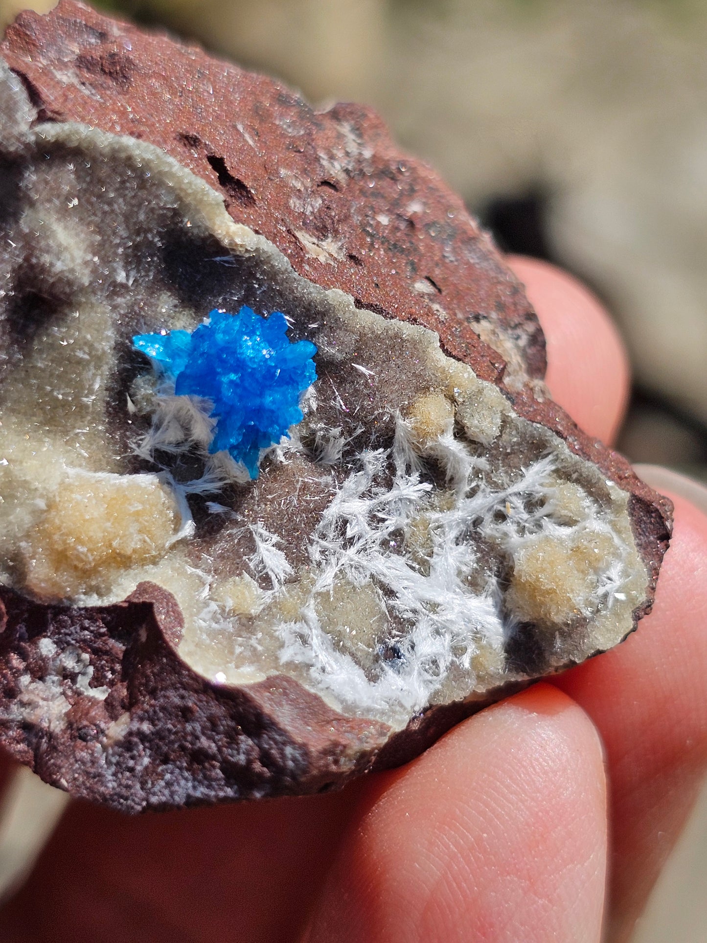 Cavansite sur Heulandite et Mordénite C5