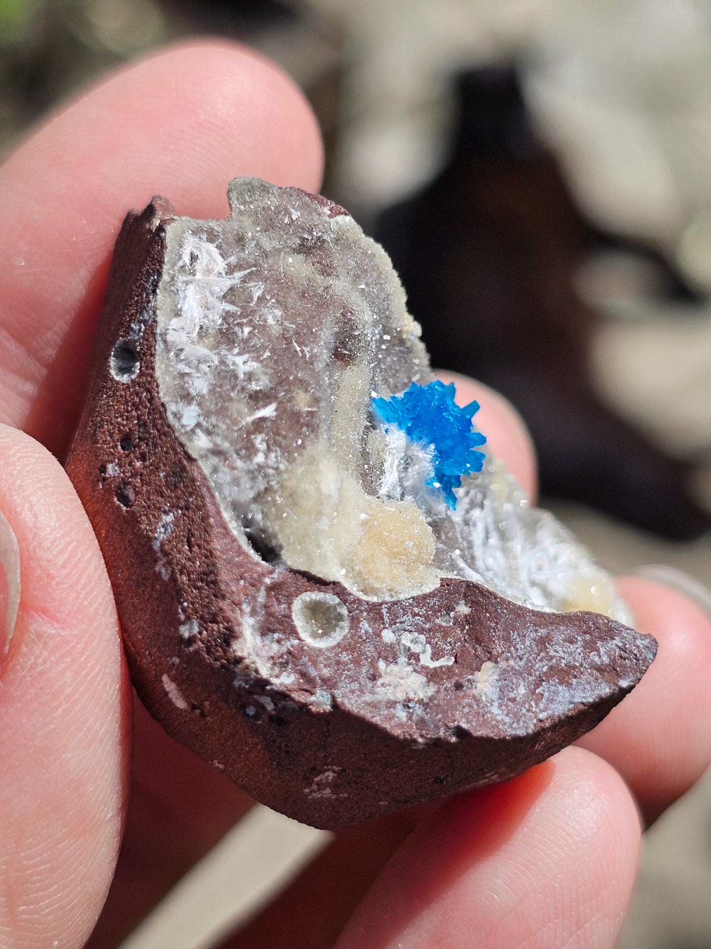 Cavansite sur Heulandite et Mordénite C5