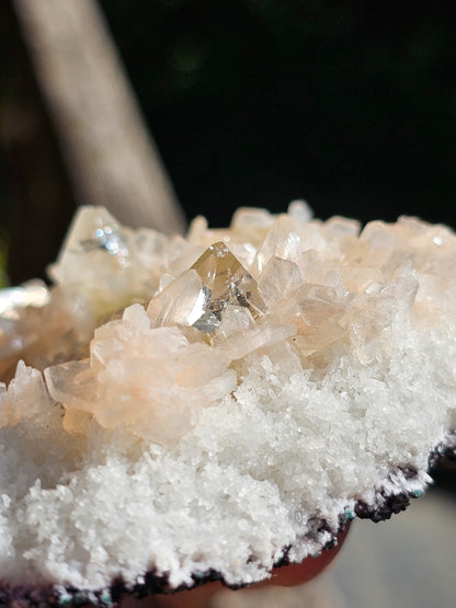 Apophyllite, Apophyllite verte, Stilbite sur Calcédoine blanche S