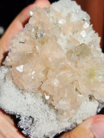 Apophyllite, Apophyllite verte, Stilbite sur Calcédoine blanche S