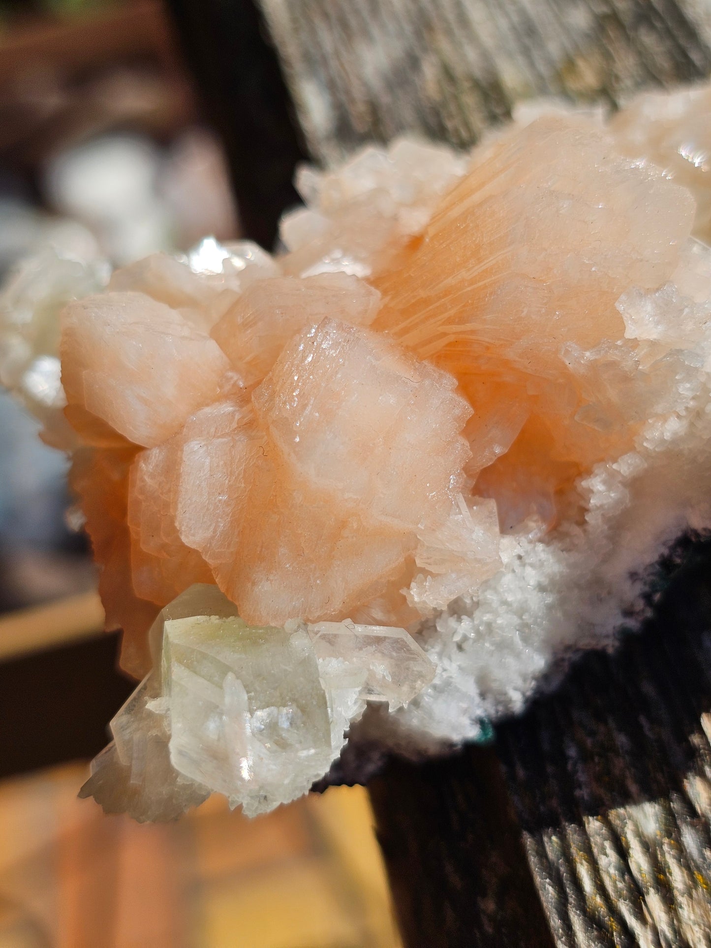 Apophyllite, Apophyllite verte, Stilbite sur Calcédoine blanche U