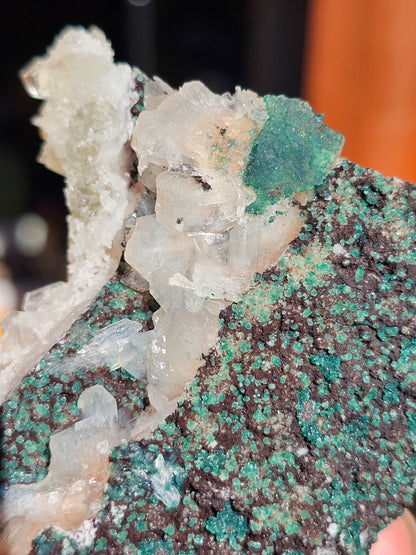 Apophyllite, Apophyllite verte, Stilbite sur Calcédoine blanche U