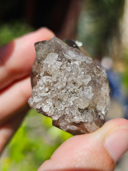 Quartz fumé du Mont-Blanc B