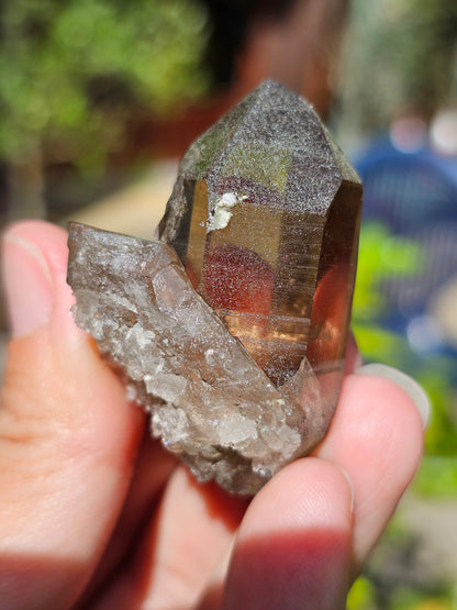 Quartz fumé du Mont-Blanc B