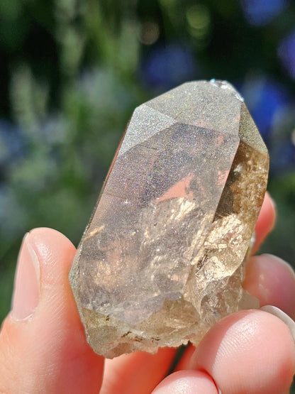 Quartz fumé du Mont-Blanc B