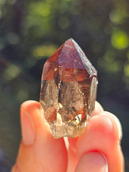 Quartz fumé du Mont-Blanc G