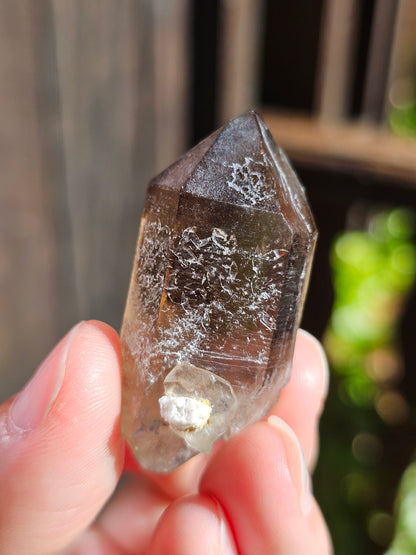 Quartz fumé du Mont-Blanc H