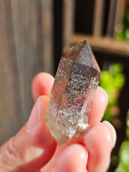 Quartz fumé du Mont-Blanc H