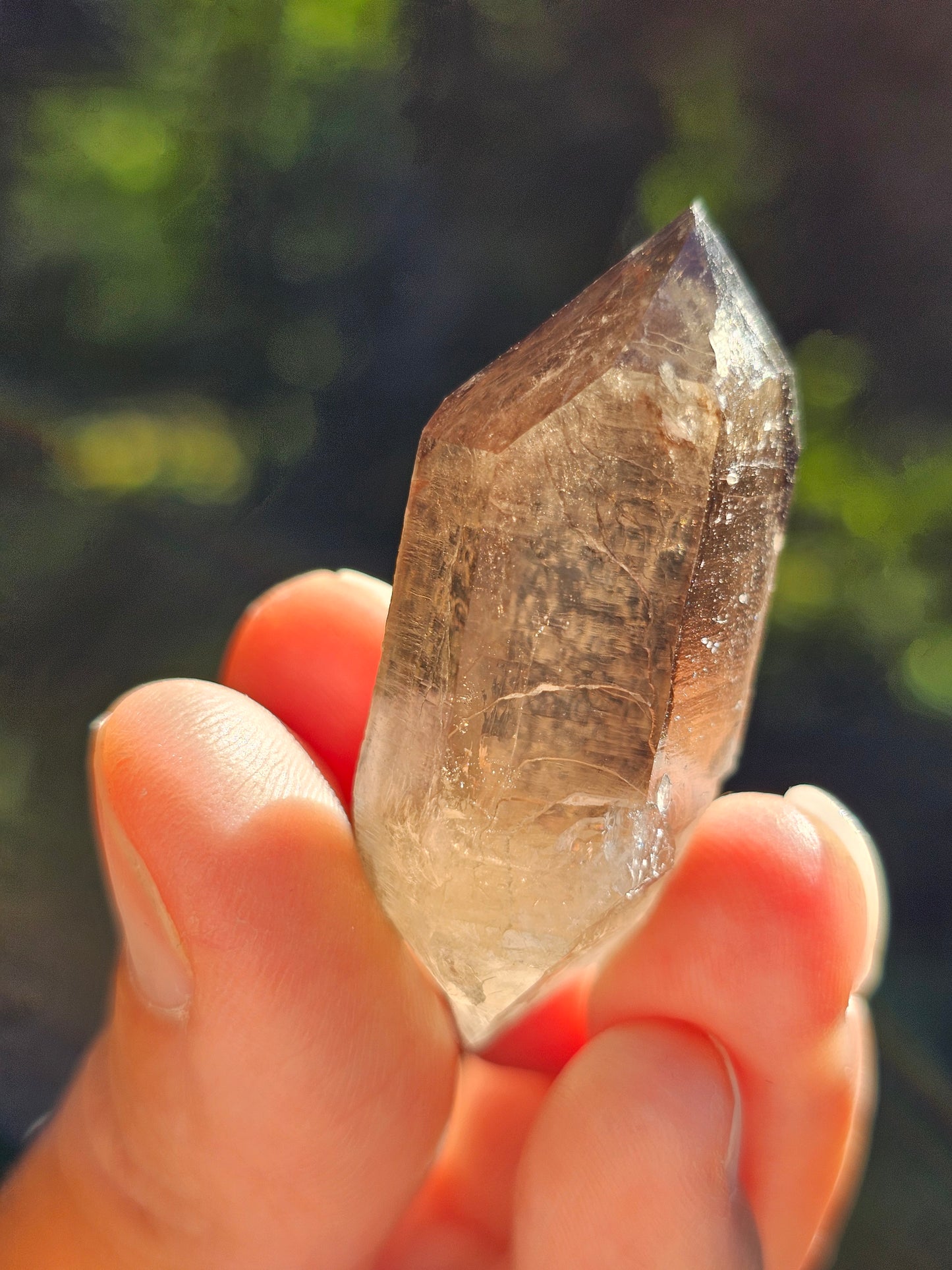 Quartz fumé du Mont-Blanc H