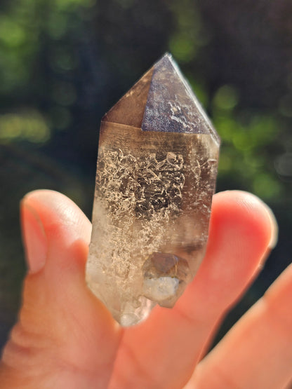 Quartz fumé du Mont-Blanc H