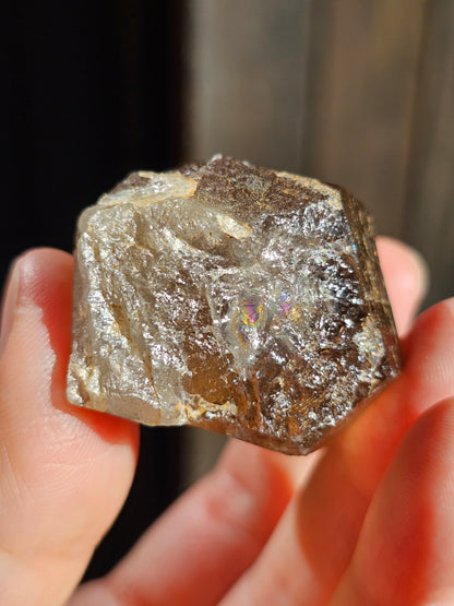 Quartz fumé du Mont-Blanc M