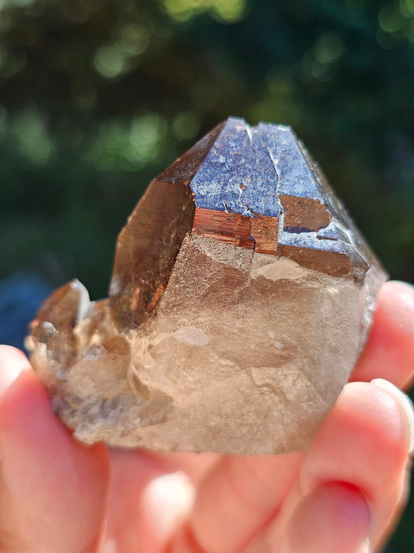 Quartz fumé du Mont-Blanc O