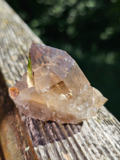 Quartz fumé du Mont-Blanc P